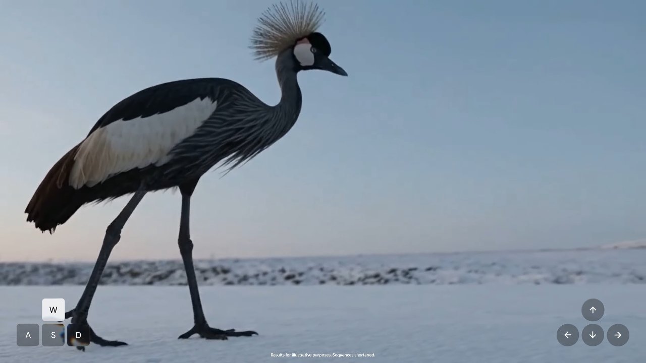 Frame from Google DeepMind's Genie 4 opening film